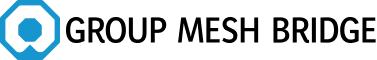 Group Mesh Bridge
